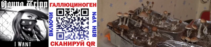 Псилоцибиновые грибы мухоморы что такое наркотик Ижевск
